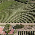 Quinta Do Salgueiral Semesterbostad Peso da Régua