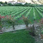 Quinta Do Salgueiral *