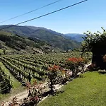 Quinta Do Salgueiral Peso da Régua