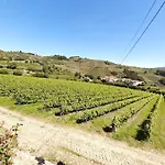 Semesterbostad Quinta Do Salgueiral Peso da Régua