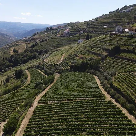 Quinta Do Salgueiral Holiday home *