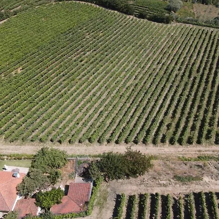 Quinta Do Salgueiral Prázdninový dům Peso da Régua