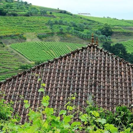 Σπίτι διακοπών Quinta Do Salgueiral Peso da Régua