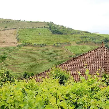 Σπίτι διακοπών Quinta Do Salgueiral *