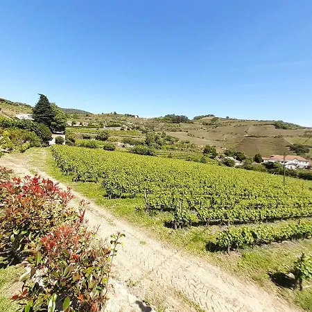 Quinta Do Salgueiral * Peso da Régua