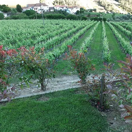 Quinta Do Salgueiral *