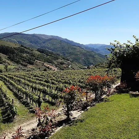 Quinta Do Salgueiral Peso da Régua