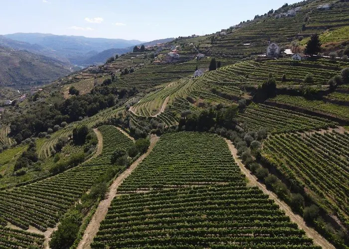 Quinta Do Salgueiral Feriehus *