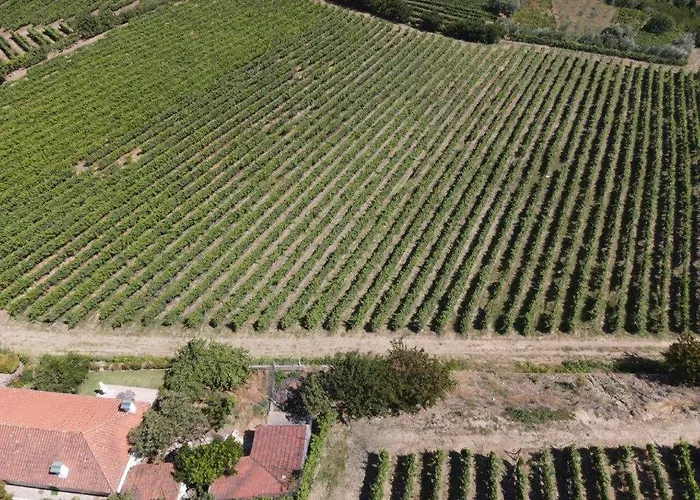 Quinta Do Salgueiral Feriehus Peso da Régua