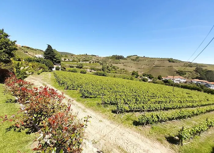 Quinta Do Salgueiral * ペーゾ・ダ・レーグア