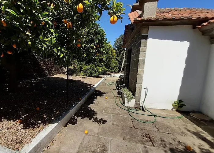 別荘 Quinta Do Salgueiral *