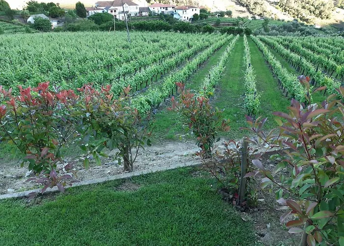 Quinta Do Salgueiral *