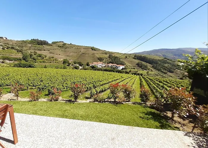 Quinta Do Salgueiral 別荘 *