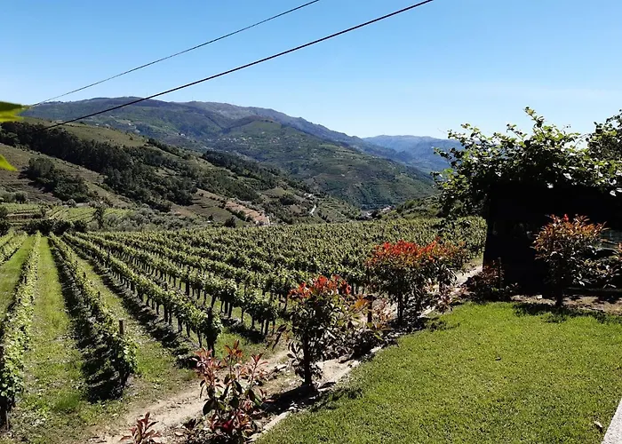 Quinta Do Salgueiral Peso da Régua