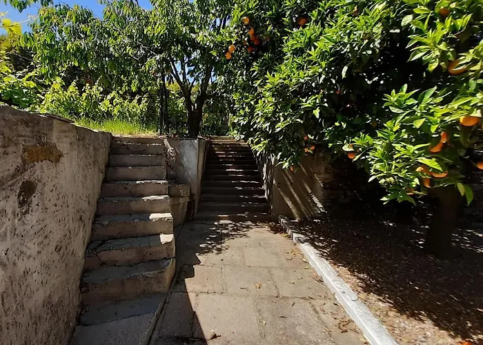 Quinta Do Salgueiral 別荘 *