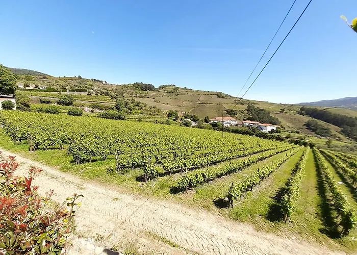 Feriehus Quinta Do Salgueiral Peso da Régua
